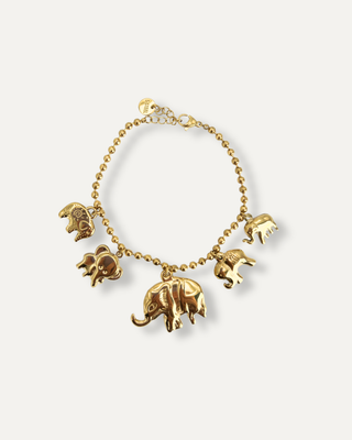 Bracciale Elecharm